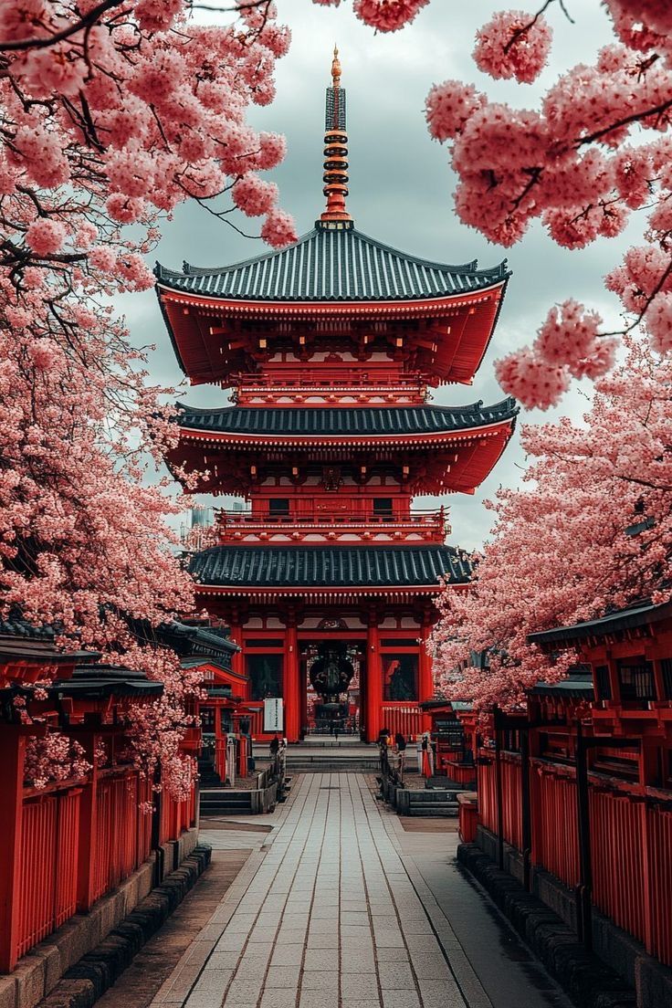 Sakura Dönemi BUTİK JAPONYA TURU